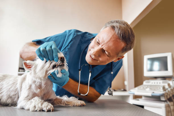 , WI Emergency Dental Service Company